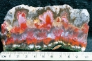 Mineralen_1