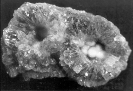 Mineralen_5