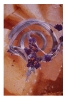 Mineralen_7